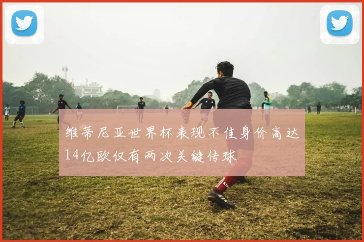 维蒂尼亚世界杯表现不佳身价高达14亿欧仅有两次关键传球