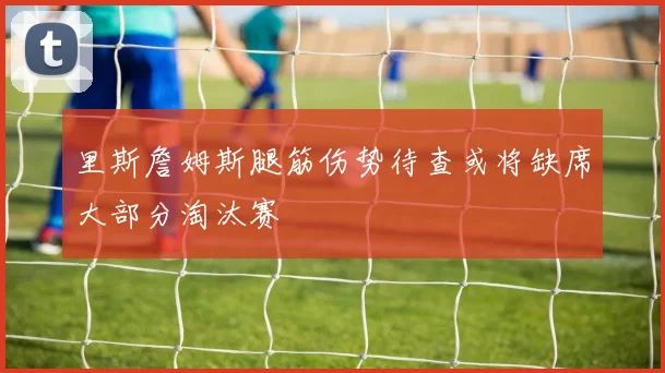里斯詹姆斯腿筋伤势待查或将缺席大部分淘汰赛
